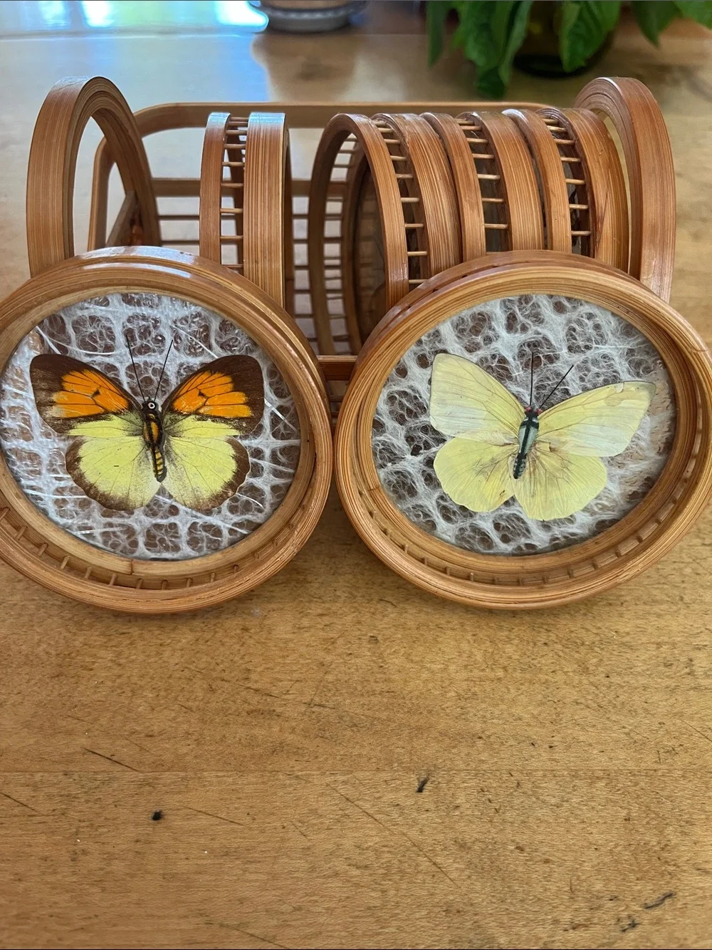 Vintage 1960s Retro Bamboo Butterfly Coaster Set six